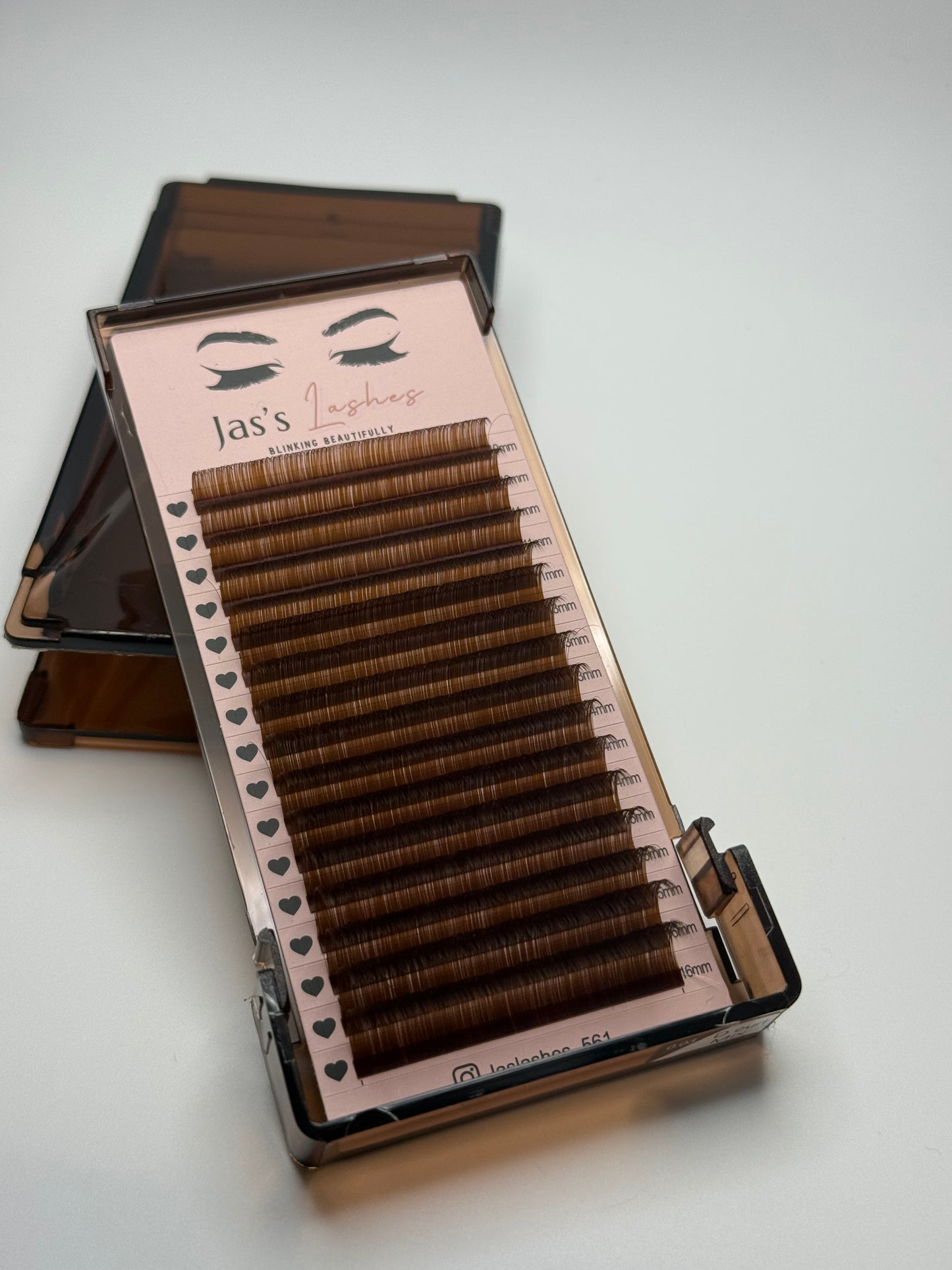 Volume Brown Lash Trays 🤎